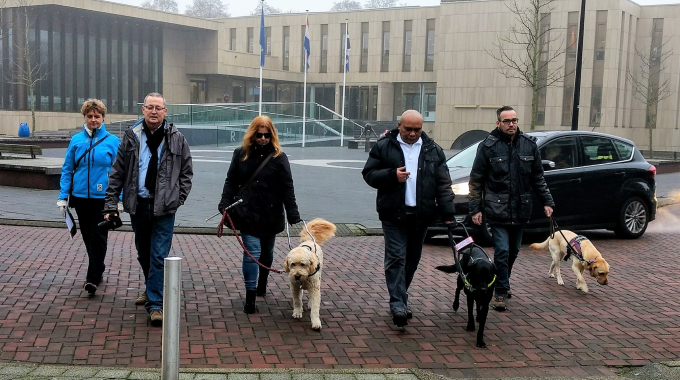 Hoe toegankelijk is Krimpen aan den IJssel voor gebruikers van assistentiehonden?